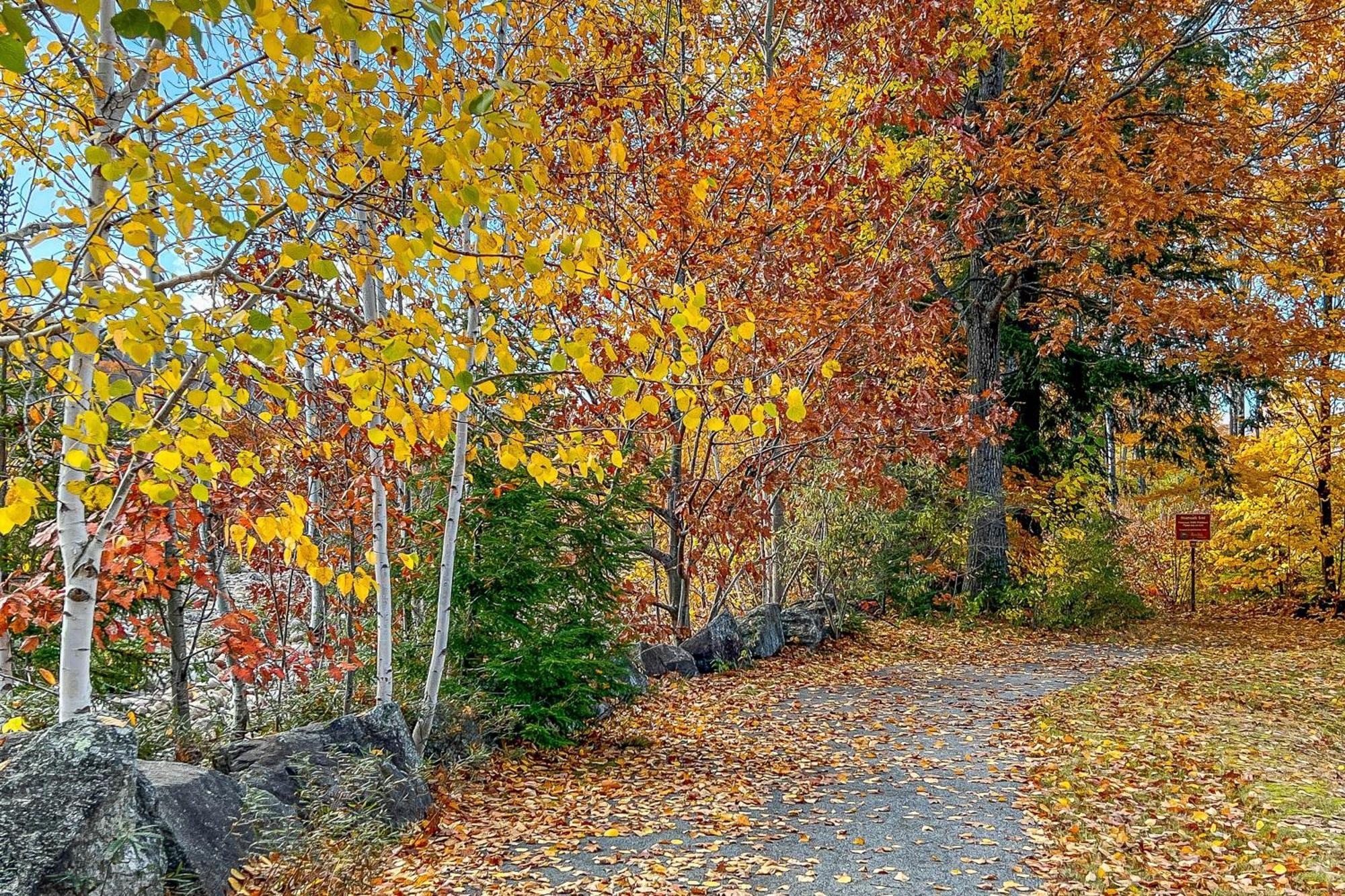 Autumn Colors Condo At Rivergreen Lincoln Exteriér fotografie